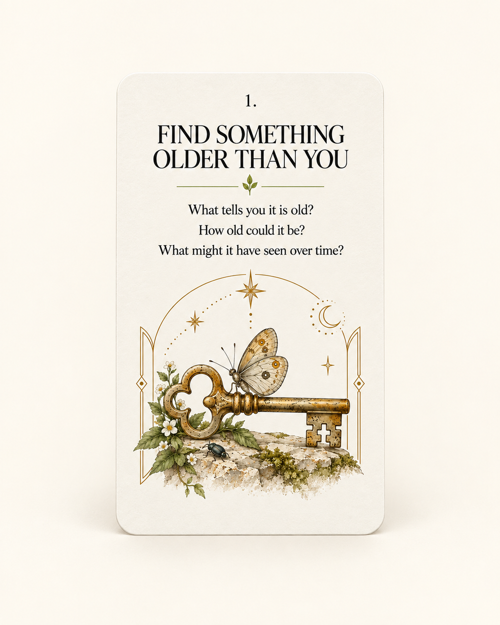 The Observation Cards