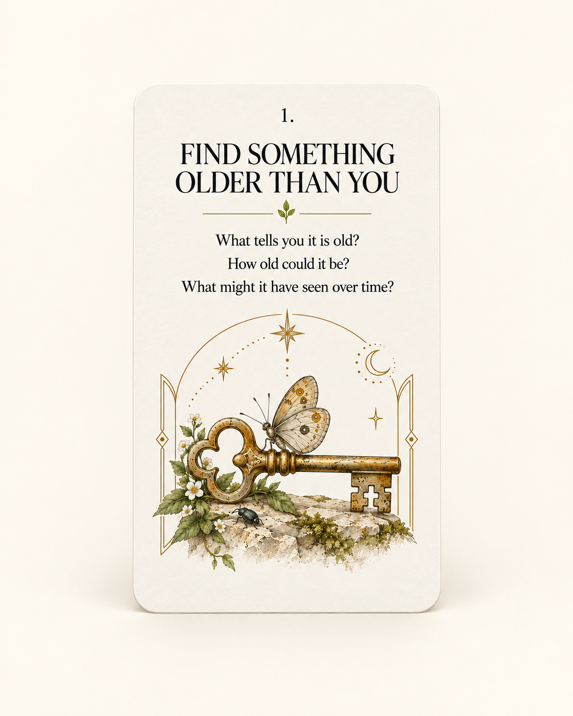 The Observation Cards