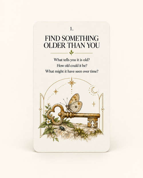 The Observation Cards