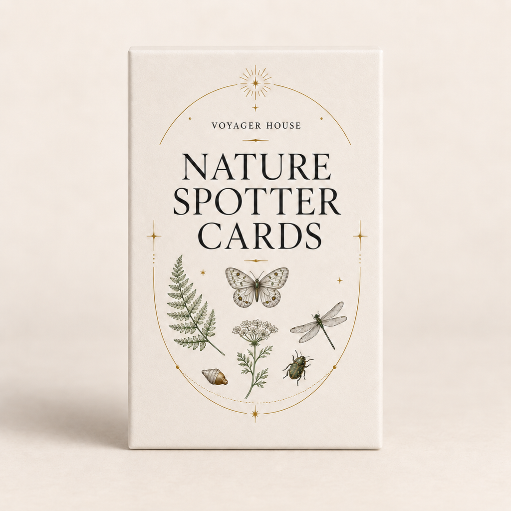 The Nature Spotter Cards